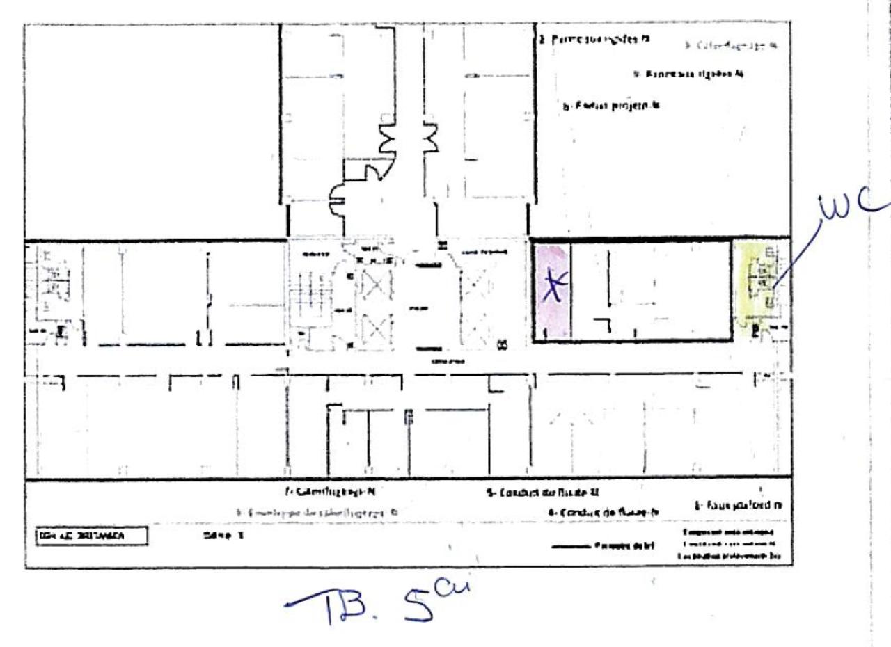 Bureau Lyon 527m² Location bureau Lyon Rhône OLBUR2533274 11